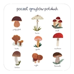 This cork backed coaster of the Poczet Grzybow Polskich. Coated with plastic for long wear and easy cleanup.
Coaster Size - 3.75" x 3.75" - 9cm x 9cm Cork backed and plasticized top.
â€‹Made in Poland