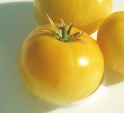 Snowball-Tomato Seeds