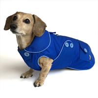 Bright Blue Blizzard Dachshund Parka with Thinsulate