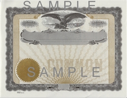 Goes® Eagle No Text Common Stock Certificates, 100 pack