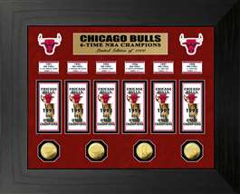 Chicago Bulls 6-Time NBA Champions Deluxe Gold Coin & Banner Collection  