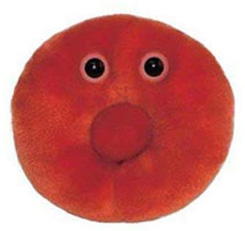 Giant Microbes- Red Blood Cell