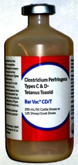CD&T Vaccine - 50ml, 100 ml, or 250ml.  SECOND DAY SHIPPING REQUIRED