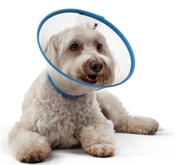 mVet QuickSnap Padded E-Collar Small-Medium Dog, 12 c" (5"Depth)