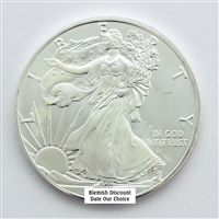 Blemished Silver Eagle - Date our Choice - Uncirculated