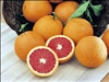 RED NAVEL ORANGEâ€“ Citrus sinensis â€˜Cara Caraâ€™ ZONE 9a