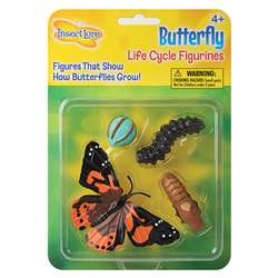 Butterfly Life Cycle Stages By Insect Lore