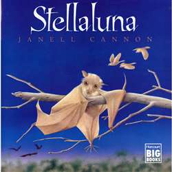 Stellaluna Big Book By Houghton Mifflin