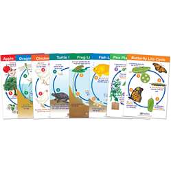 Life Cycles Set Of 8, NP-941504