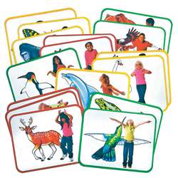 Body Poetry Animal Action Cards By Roylco