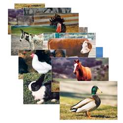 Farm Animal Poster Set Set Of 10 By Stages Learning Materials