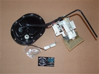14-21 Indian Springfield Fuel Pump, Filter & Fuel Line ASM - Rdmaster