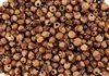 25 Grams - Navajo Ghost Beads Cedar Juniper Berries Seeds with Holes