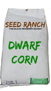 Dwarf Corn Food Plot Seed