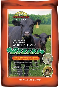 Durana Clover Seed 25 pounds