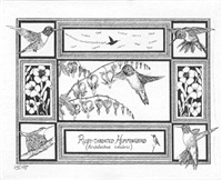 Hummingbird Note Card