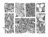 Beautiful wild flower note cards by artist Linda Cook DeVona; Set of 6 with envelopes.