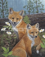 Summertime Fox Kits by Jeffrey Hoff