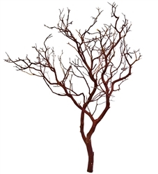 Natural Red Manzanita Branches, 30" Tall, (case of 4 shipping included!)