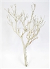 Sandblasted Manzanita Branches, 18" tall