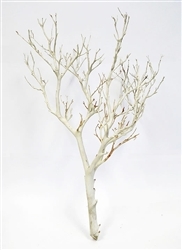 Sandblasted Manzanita Branches, 18" tall, (case of 15, shipping included!)