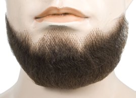Human Hair 5 Point Beard
