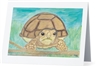"African Spurred Tortoise" Note Cards