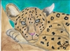 Leopard #4 Zoo Print