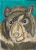 Andean Bear Zoo Print
