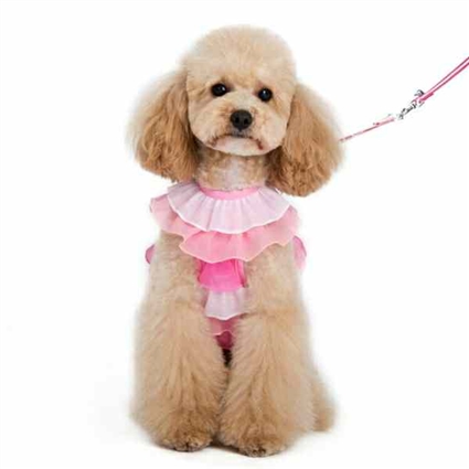 Small Dog Harness | Pink Ruffles
