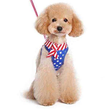 American Flag Small Dog Harness