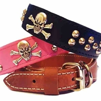 Leather Dog Collars | Skull and Studs