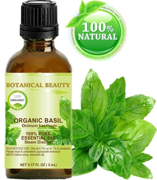 Organic Basil Essential Oil Botanical Beauty