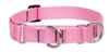 Lupine 1" Pink 15-22" Martingale Training Collar