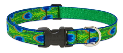 Lupine  1" Tail Feathers 12-20" Adjustable Collar