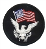 wavy flag & white eagle souvenir embroidered patch
