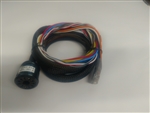 11-Pin Amphenol Type Harness, With 20 in. Mesh Sleeving, 2 Twisted Pairs
