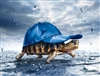 Turtle Tortoise with Hat Wall Decal