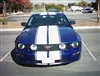 Blue Mustang w/ White 10" Rally Stripe with 1/4" stripes
