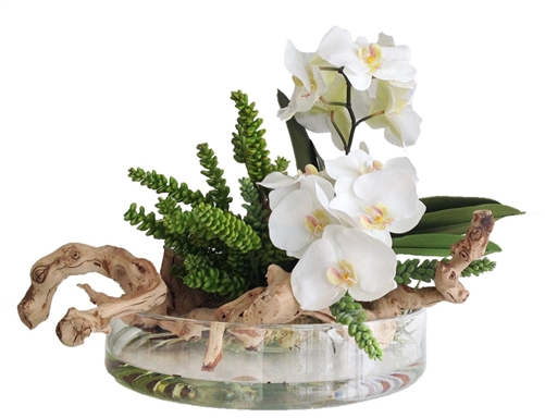 Orchid and Round Modern Vase Arrangement 16"D