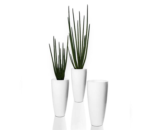 Dax Tapered Vase with Snake Grass Vase