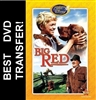 Big Red DVD 1962 Walter Pidgeon Disney Movie
