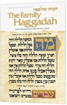 Family Haggadah - With translation and Instruction