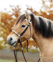 Barefoot Acorn Bridle 2-in-1