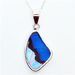 Small Wing Butterfly Wing Pendants