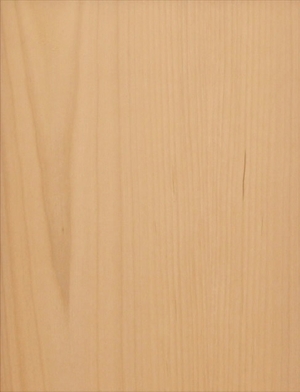 Slab Sample Cabinet Door