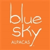 Blue Sky Fibers Bulky alpaca/wool Yarn