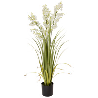 White Bellflower Grass (36 inches
