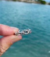 Hook Ring
