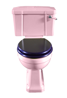 TRTC Pink Art Deco Close Coupled Toilet
